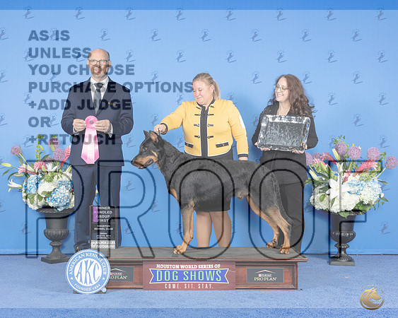 Beaceron #9 FRI OHG1 Judge Jamie Hubbard__JP_9521e_Houston_2024-HR3.jpg