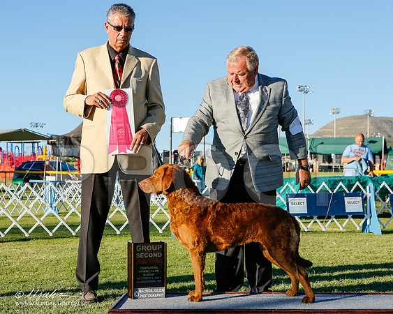 _ST_3562-2-AlamogordoOct2014-HR3