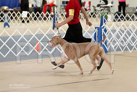 APBT-2956LR