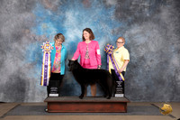 Belgian Shepherd #249 Sat BIS RBIS Judge Brenda and Jennifer Landers