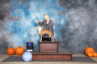 Italian Greyhound #17 Sun WDBOW Judge Tim Catterson