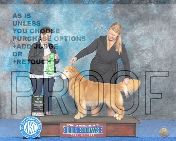 Golden Retriever #41 Wed JAM Judge Ann F Yuhasz__JP_7491e_Houston_2024-HR3.jpg