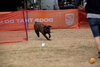 *Precision Coursing Longview WA 2024 Cane Corso