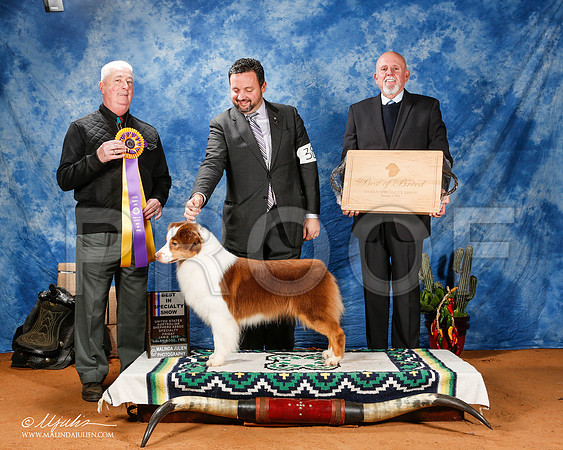 _ST_0663-2-GlenRoseJan2015-HR3