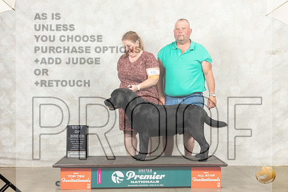 Labrador Retriever #491 Thur BOB Judge Karen Hynek__MJ_7359_Premier_2022_HR3