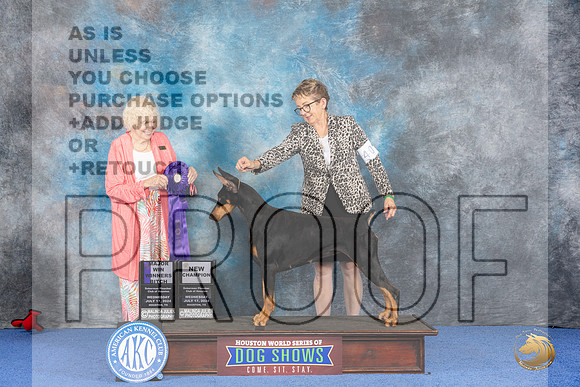 Doberman #40 WED WD NC Judge Nancy Liebes__JP_7312_Houston_2024_HR3