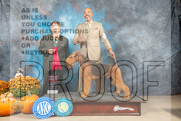 Airedale #5 Sun G2 Judge Del Richards_MJ_6681_Belton_2022_HR3