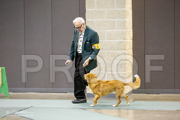 _RH_9625-BeltonJan2015-HR3