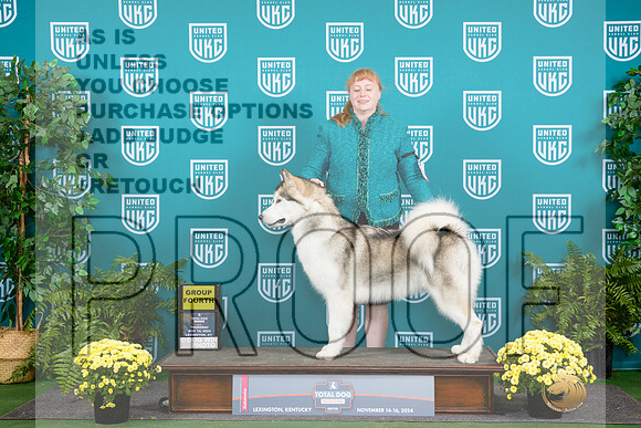 Alaskan Malamute #127 Thur Sat__JP_2719_UKCTDI2024_HR3