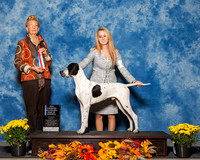 Pointers #5 Sat NC BOW Maj Ward Sierra Lee Ann Stagg Judge Ms Joanne M Buehler