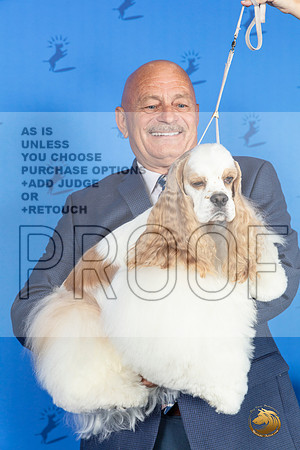 CUSTOM Cocker Spaniel Reggie SAT__JP_9849_Houston_2024_HR3