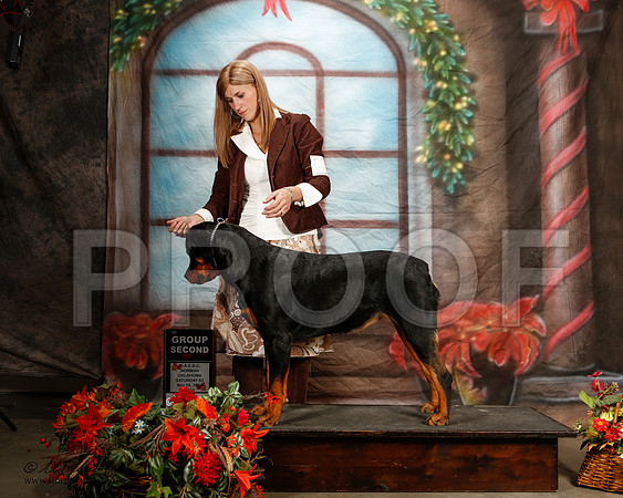 _ST_7143-2-NrmnNov2014-HR3
