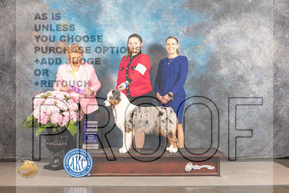 Australian Shepherd #34 FRI WB Judge Polly Smith_MJ_4875_Houston_2022_HR3