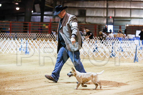 _JN_3937-2-GlenRoseJan2015-HR3