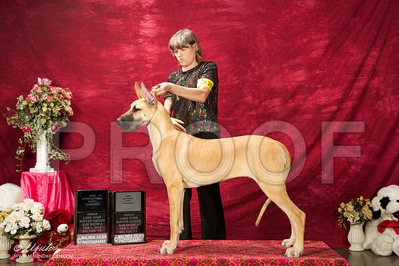 _ST_2938-BeltonJan2015IABCA-HR3