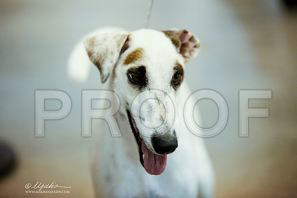_JJ_6712-DalJul2014-HR3