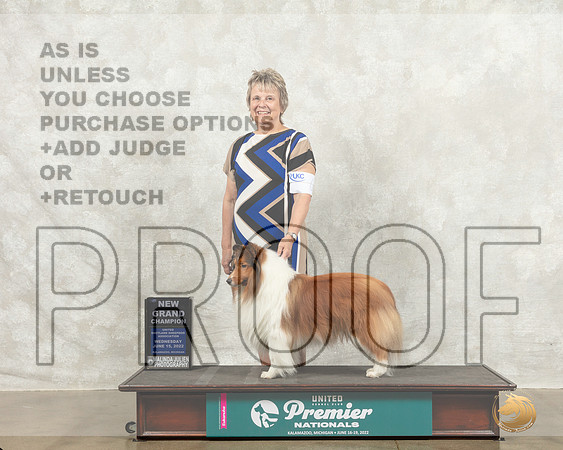 Shetland Sheepdog #6 Wed COCGrCh Judge Stan Matsamoto_MMJ_6739_Premier_2022_HR3