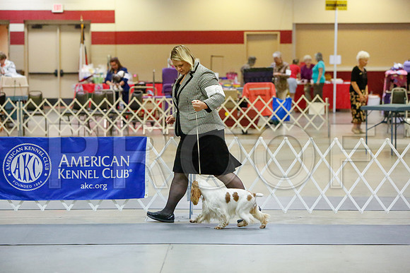 _JJ_2594-AmarilloSept2014-HR3
