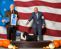 Scottish Terriers #8 Sat G1 Edell Kelli Agent Jesus Moreno Judge Mr Merle Taylor