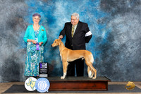 Salukis #15 Fri WDM Judge Sharol Candace Way