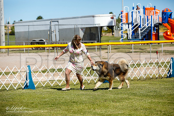 _JJ_0241-AlamogordoOct2014-HR3