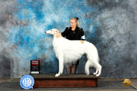 Borzoi #15 Sat G2 Judge David Bolus