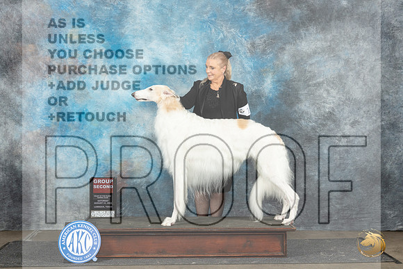 Borzoi #15 Sat G2 Judge David Bolus__JP_3678_Lubbock_2024_HR3