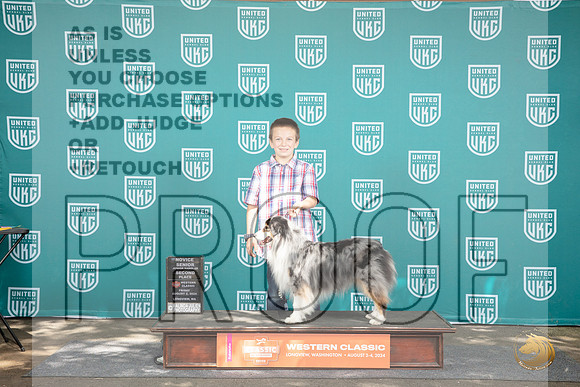 Miniature American Shepherd #801 Fri Jr 2nd Judge Malinda Julien __JP_1094_Longview WA_2024_HR3