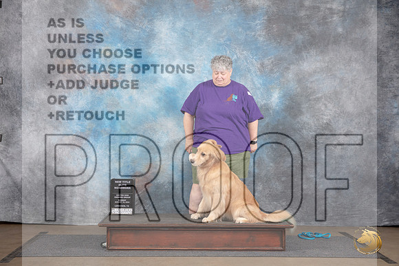 Golden Retriever #616 Sun New Title Elite Judge Peter Betchly__JP_2958_LongviewTX_2024_HR3