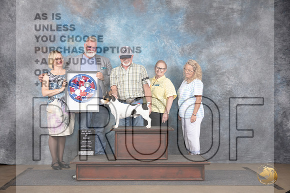 Teddy Roosevelt Terrier #11 Sat Best of The Best __JP_2779_LongviewTX_2024_HR3