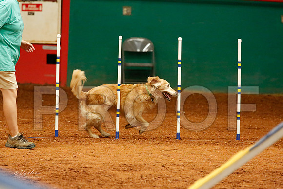 _J8_5573-WFOct2013-HR