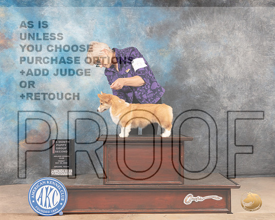 Pembroke Welsh Corgi #6 Fri PG2 Judge Thomason Stanfield Jr-MMJ_3032-Addison2022-HR3