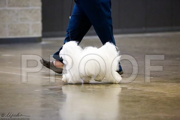 _J3L0019-BeltSep2014-HR