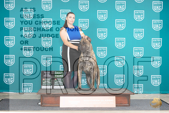 Presa Canario #710 Fri BOBG3TD Judge Valerie Piltz__JP_6288_BatesvilleMS_2024_HR3