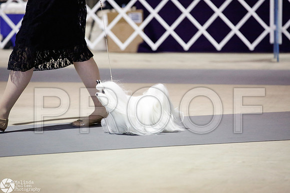 _JJ_3695-SanAntonioJul2014-HR