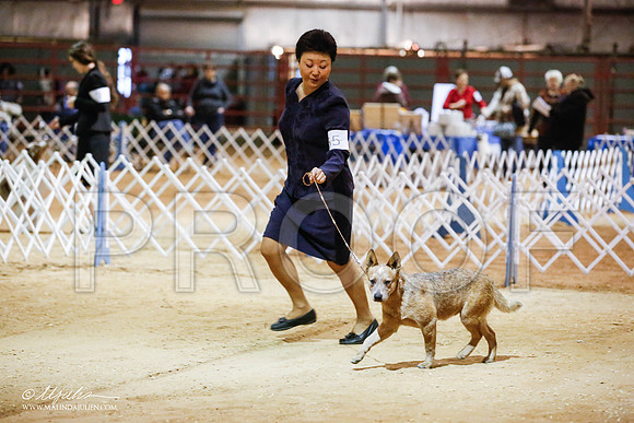 _JN_3954-2-GlenRoseJan2015-HR3