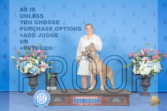 Cane Corso #14 SUN SB BOH G2 Judge Douglas Johnson__JP_0858_Houston_2024_HR3