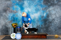 Cardigan Welsh Corgi #7 Fri WDBOW no judge