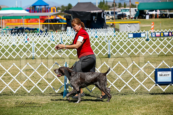 _JJ_3691-AlamogordoOct2014-HR3