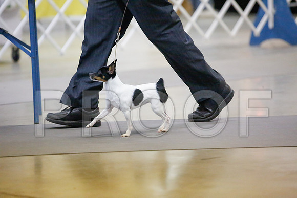 _JJ_8635-AmarilloSept2014-HR3