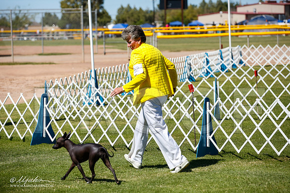 _JJ_8044-AlamogordoOct2014-HR3
