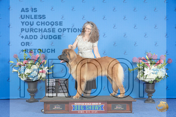 Leonberger #16 FRI SB OHBOB M Judge Douglas Johnson__JP_8782_Houston_2024_HR3