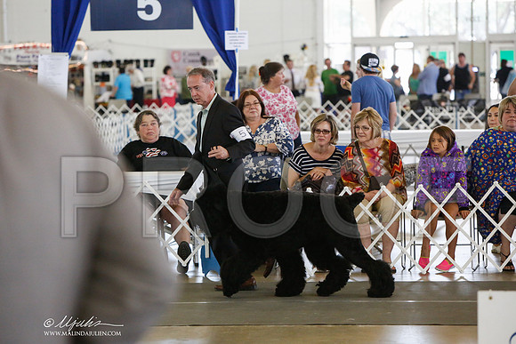 _JJ_1613-DallasJul2014-HR3
