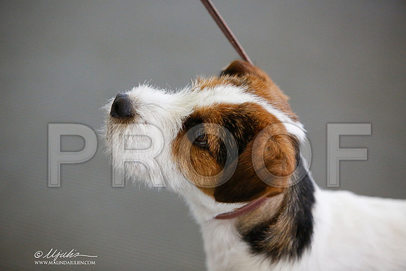 _JJ_2240-DallasJul2014-HR3