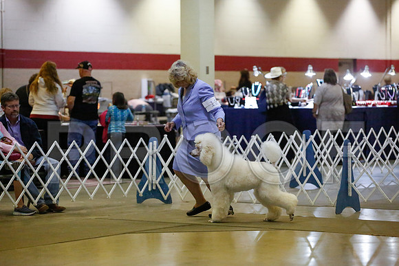 _JN_8037-AmarilloSept2014-HR3