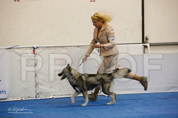 _M3_0822-AddisonHuskyMar2015-HR3