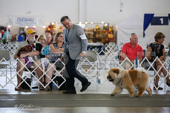 _JJ_2503-DallasJul2014-HR3