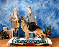 German Shepherd Dog #15 Fri BOB 2