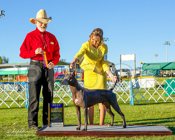 _ST_3645-AlamogordoOct2014-HR3