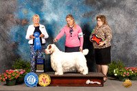 Clumber Spaniel #7 Sat G1 Judge Debra Thornton